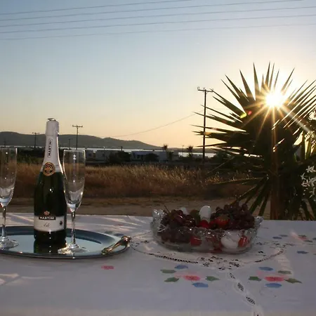 Villa Paros Traditional *
